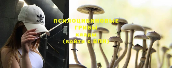 apvp Краснотурьинск